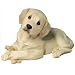 Sandicast Small Labrador Retriever - yellow, lying down