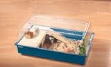 Nagerk�fig Garda Meerschweinchen, Farbe:blau