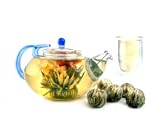 Teavana Sur La Mer Glass Teapot
