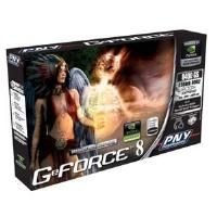 Childrens Toyshop  Computer : PNY NVIDIA 8400GS 256MB LOW-PROFILE PCI-E GRAPHICS CARD