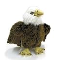 Stuffed Bald Eagle