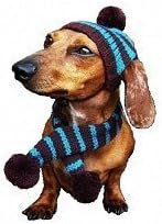 Dallas Dogs 2006-S Turquoise and Brown Striped Hat and Scarf, Small