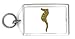 Keychain with seahorse, wildlife, marine, fish, underwater