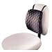 Electronics : Kensington HalfBack Pad,Chair Pad for Spine Comfort and Support, in Black (L82021B)