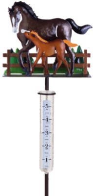 Horse Rain Gauge