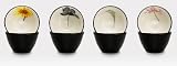 Colorwave Graphite 4 Floral Mini Bowl (Set of 4)