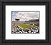 Framed Municipal Stadium Jacksonville Jaguars Photograph
