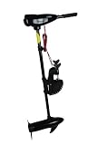 AUSSENBORDMOTOR BOOT ELEKTROMOTOR 55 lbs 12 V Salzwassertauglich Schub 25,0kp 624 Watt + Schutzschalter