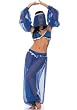 5PC Aladdin Belly Dancer Sexy Holiday Party Costume
