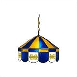 Wave 7 UMI-160SW University of Michigan 16 Wide Swag Hanging Lamp