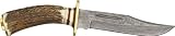Damascus El Dorado Skinner 10.25 inch Hunting and Skinning Knife with all natural Sambar Stag Antler Handle, Brass Pommel and Genuine Leather Sheath