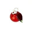 Red Apple Charm