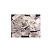 35 NATURAL QUARTZ CRYSTALS 1