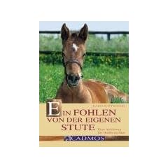 Ein Fohlen von der eigenen Stute: Eine Anleitung f�r Hobbyz�chter