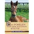 Ein Fohlen von der eigenen Stute: Eine Anleitung f�r Hobbyz�chter