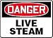 DANGER LIVE STEAM 10