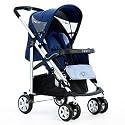 Waltz Single Stroller in Blueberry Waves