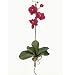 Nearly Natural Mini Phalaenopsis Silk Orchid Flower w/Leaves (6 Stems)