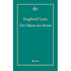 Der Mann im Strom: Roman