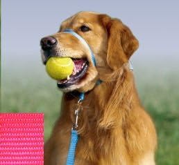 Gentle Leader Quick Release Headcollar: Petite, Hot Pink