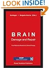 Brain Damage and Repair: From Molecular Research to Clinical Therapy
