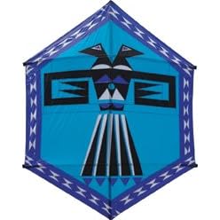 Eagle of Paradox Kite