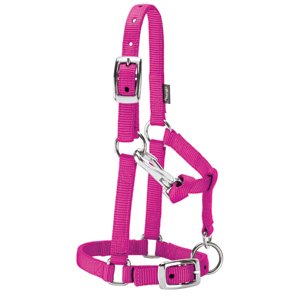 Miniature horse mini Horse Nylon Halter Pink Tack