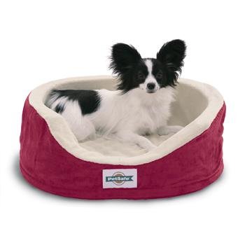 PetSafe Heated Wellness Sleeper, Mini