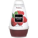 Renuzit Raspberry Adjustable Air Freshener 7.5 oz (Pack of 12)
