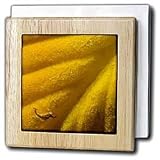 VWPics Abstract - Abstract detail of Fall hosta leaf - Tile Napkin Holders