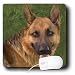 Doreen Erhardt Dogs - German Shepard - Mouse Pads