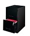 Home Office 2 Drawer Letter File Cabinet (Black) (24.5H x 14 1/4W x 18D)