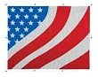 Peterbilt USA America Flag Truck Bugshield Bug Screen