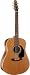 Seagull Artist Mosaic - Solid Cedar Top Guitar with Deluxe TRIC Hardshell Case