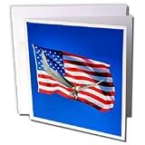 Boehm Graphics Holiday Memorial Day - American Flag and Bald Eagle - Greeting Cards-12 Greeting Cards with envelopes