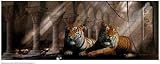 Sanctuary by Bob Hardie. Size 59.00 X 22.00