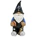 Carolina Panthers NFL Garden Gnome