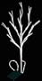 White Branch with 20ct Led Lights - Battery Operated