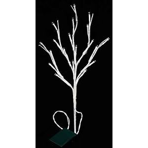 White Branch with 20ct Led Lights - Battery Operated by 