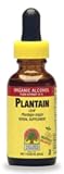Plantain Leaves 1 Ounces