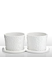 Marcel Wanders Herb Pots