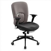 Kingsmark Ergonomic Managerial Task Chair in Gray/Black