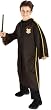 Harry Potter First Task Costume