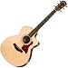 Taylor Guitars 200 Series 214-CE-G Grand Auditorium Acoustic-Electric Guitar - Natural