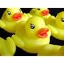 One Dozen (12) Rubber Duck Ducky Duckie Baby Shower Birthday Party Favors