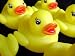 One Dozen (12) Rubber Duck Ducky Duckie Baby Shower Birthday Party Favors