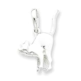 Sterling Silver Pendant