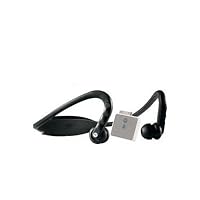 Motorola S9-HD Headset with D650 iPod Adapter (Gloss Black)