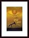 Eye of God by unknown 17.00X11.00 Framed with Black Wood Frame