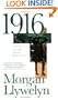 1916 : A Novel of the Irish Rebellion